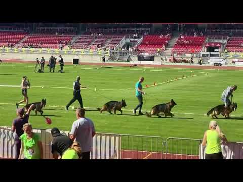 LSH MALE #bszs2023 18-24