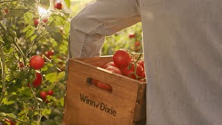 Winn-Dixie Higher Quality, Lower Prices. Checks Every Box