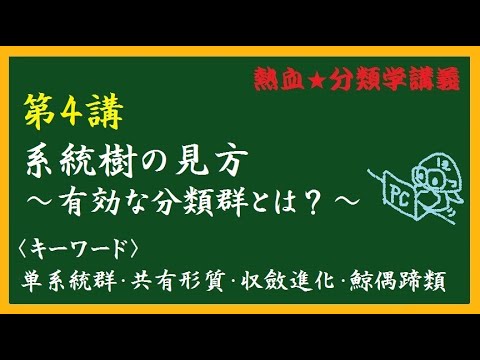 Ectoprocta (系統分類)について詳しく解説