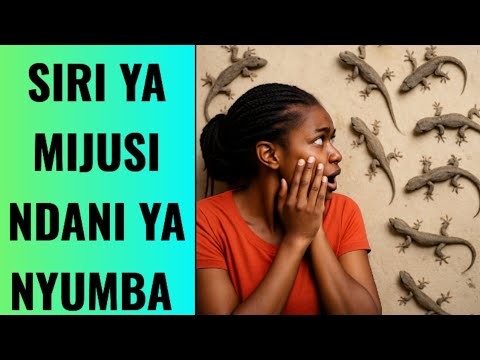 UKIONA MJUSI NDANI YA NYUMBA FANYA HIVI HARAKA SANA | SIRI ya MIJUSI