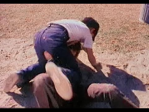 Snipets - "Make Friends; Don't Fight" (1977)