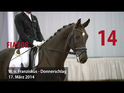 14 Fiador Wallach v. Franziskus - Donnerschlag