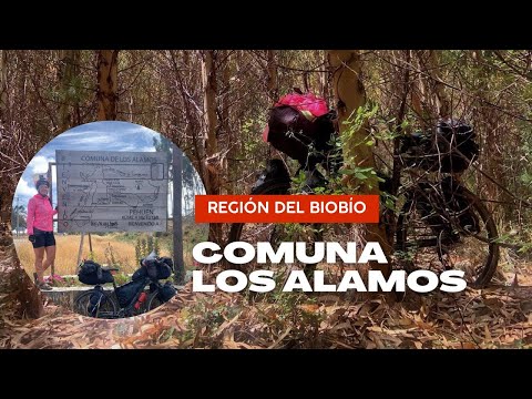 COMUNA DE LOS ALAMOS | #54 REGIÓN DEL BIOBÍO