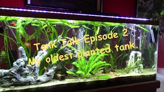 Tank Talk ep2 2024 - My oldest planted tank, full of plants and fish.