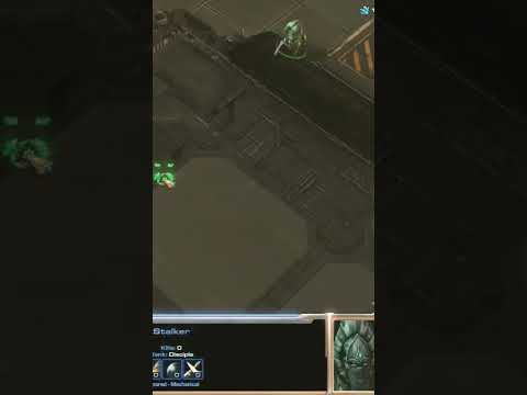 Bunker Defense #starcraft2