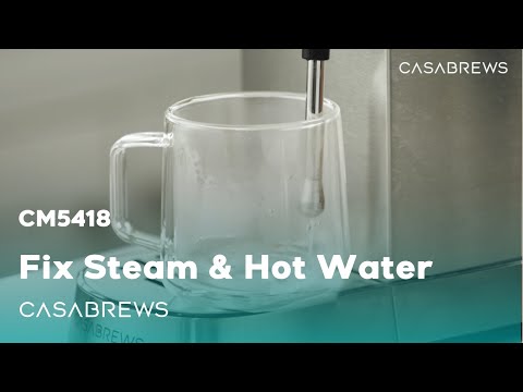 CM5418: Fix for Steam Wand and Hot Water Function Issues