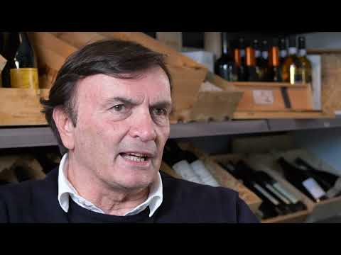 Soave - Assaggi della guida ai distretti del vino Untold 2026