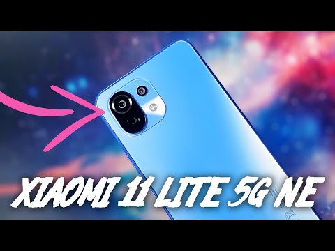 Xiaomi 11 Lite 5G NE Camera Test: Sample Photos & Videos!