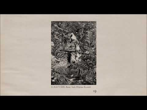 Luigi Tozzi - The Memoir   Page 29