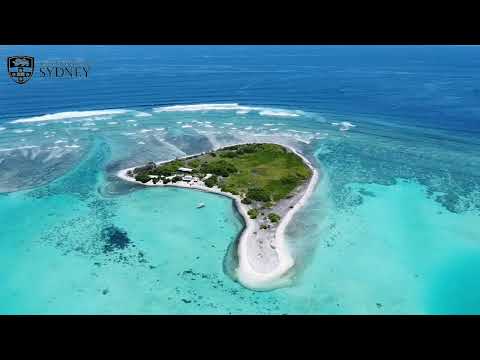 One Tree Island: A unique area for research and visitors