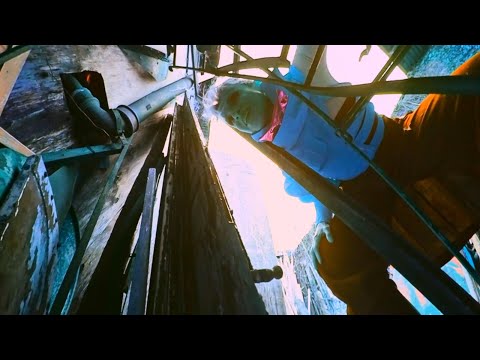 Pucarara - Mónica Navarro (Videoclip Oficial)