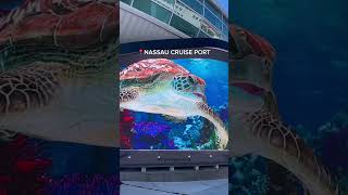 3D Aquarium At Nassau Cruise Port 🐠 #nassaubahamas #bahamastravel #cruiseport