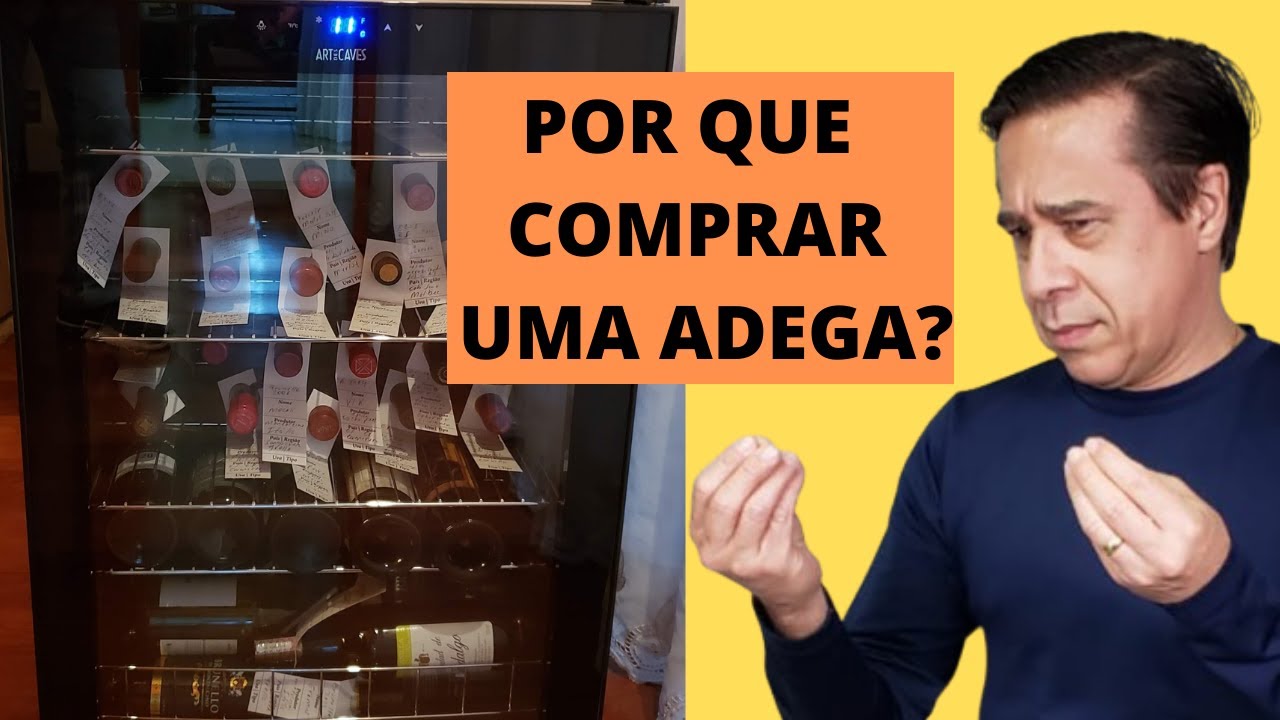 ADEGA CLIMATIZADA: SERÁ QUE VOCÊ PRECISA DE UMA?