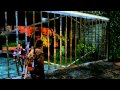 The Last Of Us 14b