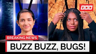 Welcome to Bug News | Breaking News