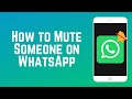 How to Mute Someone on WhatsApp | WhatsApp Guide Part 5