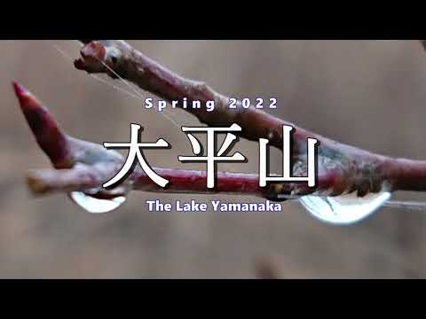 220329 Mt. Oh-hira, Spring 2022,  Tiny Challenge - in Bb minor v.05 - 4K