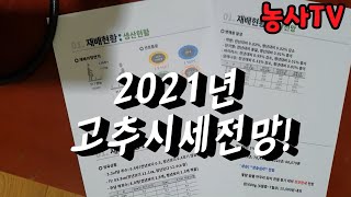 2021년 건고추 시세 전망 [농사TV]