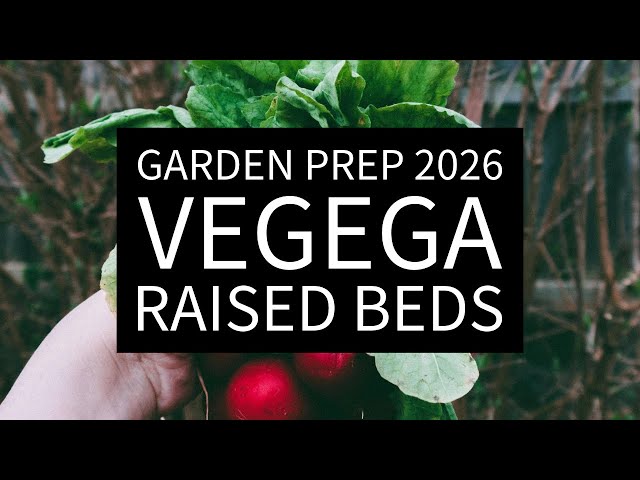 Judge.me YouTube video placeholder