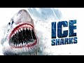 Ice Sharks Death Has Razor Sharp Teeth Shark Movie Action Movie Full Movie