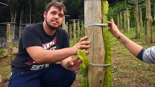 Miniatura do vídeo