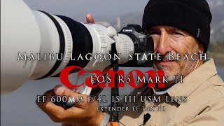 Canon R5 Mark II  - what do I think of it so far??