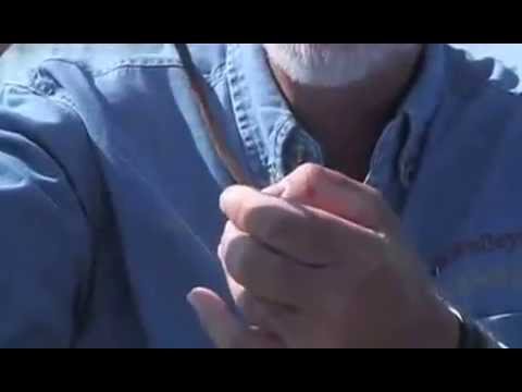 Walleye Fishing with Gary Roach   Howey Bay Resort