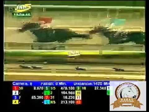 LA RINCONADA 8 CARRERA, DOMINGO 10 DE ABRIL DEL 2016