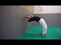 Aiki Taiso Body workout - Rolling on the front, mobility & curvature - Xavier Dufau