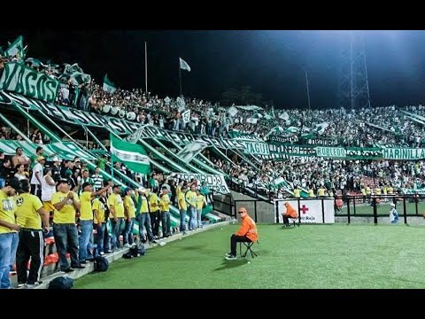 "Muchas veces me rompí la voz" Barra: Los del Sur &bull; Club: Atlético Nacional
