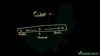 CBSE Class 10 Science NCERT Solutions: Acids, Bases & Salts (Page 35, Q 9)