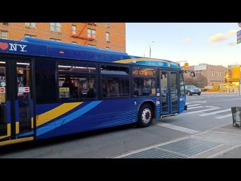 (𝐅𝐇𝐃) 𝐍𝐨𝐯𝐚 𝐁𝐮𝐬 𝐋𝐅𝐒 𝟖𝟔𝟓𝟗/𝟖𝟔𝟓𝟒 𝐐𝟒𝟑 𝐋𝐈𝐌𝐈𝐓𝐄𝐃 𝐁𝐮𝐬𝐞𝐬 @ 𝟏𝟕𝟗𝐭𝐡 𝐒𝐭𝐫𝐞𝐞𝐭/𝐇𝐢𝐥𝐥𝐬𝐢𝐝𝐞 𝐀𝐯𝐞𝐧𝐮𝐞