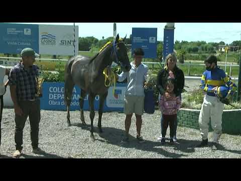 220310 c01 - 1° SEMIFRIA -  SINT - COLONIA