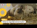 Konijnenopvang zit stampvol: 'Help ons!'
