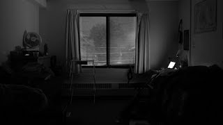 Into the Wild — Gypsy — Official Lyric Video