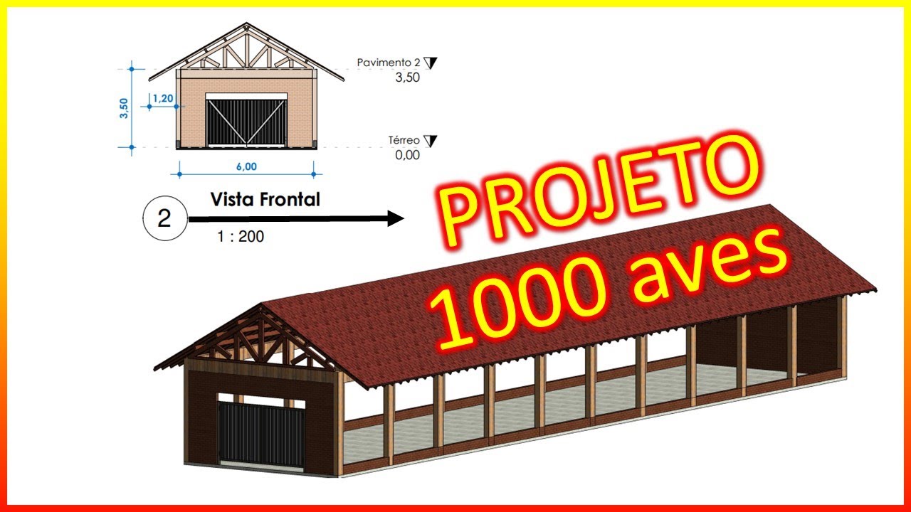 Projeto aviário para 1000 galinhas poedeiras: estrutura e dimensões