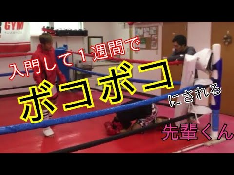 “格闘技あるある”【入門3日目でプロ選手のスパーリングに付き合わされる】先輩くんが悲惨すぎた。