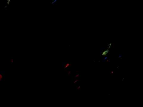 Stereomatic @ Altitude, Cd. Juarez 28 de Agosto - 2