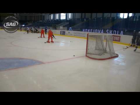 RYTIRI KLADNO HOCKEY SUMMER CAMP JULY 2016