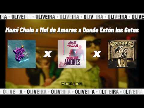 MAMI CHULA x MAL DE AMORES x DONDE ESTAN LAS GATAS - Oliveira Mashup