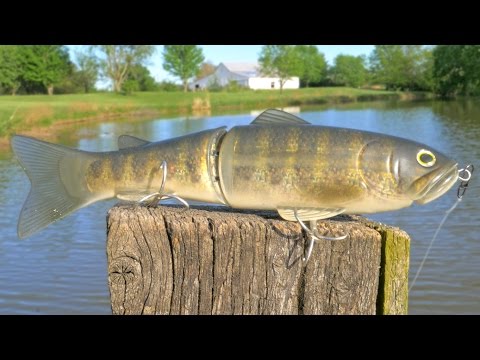 BIG Bait Challenge!!! - Ep.3 ($180 Deps 250)