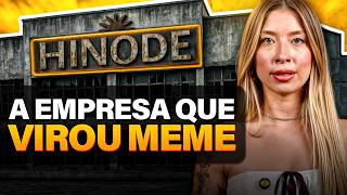 Was it a pyramid scheme? The truth about Hinode.