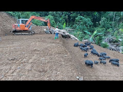 Full-video: 200 Days How To Building Farm A New Life - Survival Instinct, Wilderness Alone