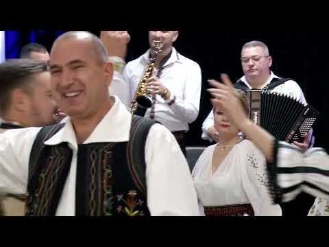 Liviu Dica -  Si ce daca am o fata
