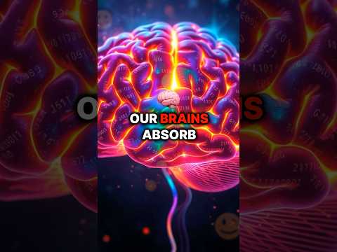 The Memory Mystery: Discover Why We Forget and How to Remember Better!