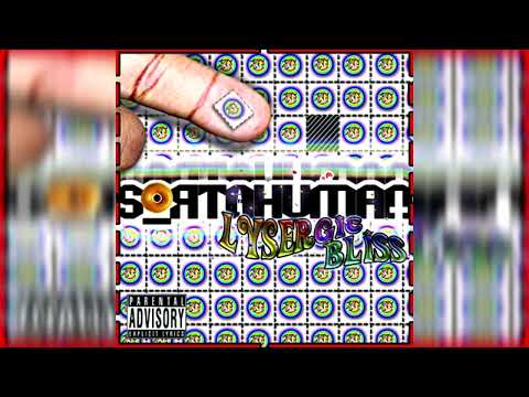 [2011] Sortahuman - Lysergic Bliss [FULL ALBUM]