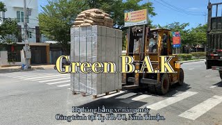 Chuyến gạch nhẹ AAC xuống hàng bằng xe nâng máy cho công trình tại Tp PR-TC, Ninh Thuận.