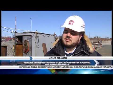 От Даниловки до Повха - 03.6.2017