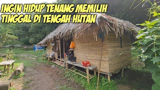 Download lagu MANTAN PENGUSAHA MEMILIH HIDUP DI TENGAH HUTAN... mp3
