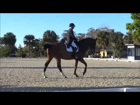Royal HeartBreaker (Roy). Rider: JD Sosa. PSG 02/02/2020 (FS)